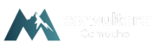 CONSULTORA CAMACHO